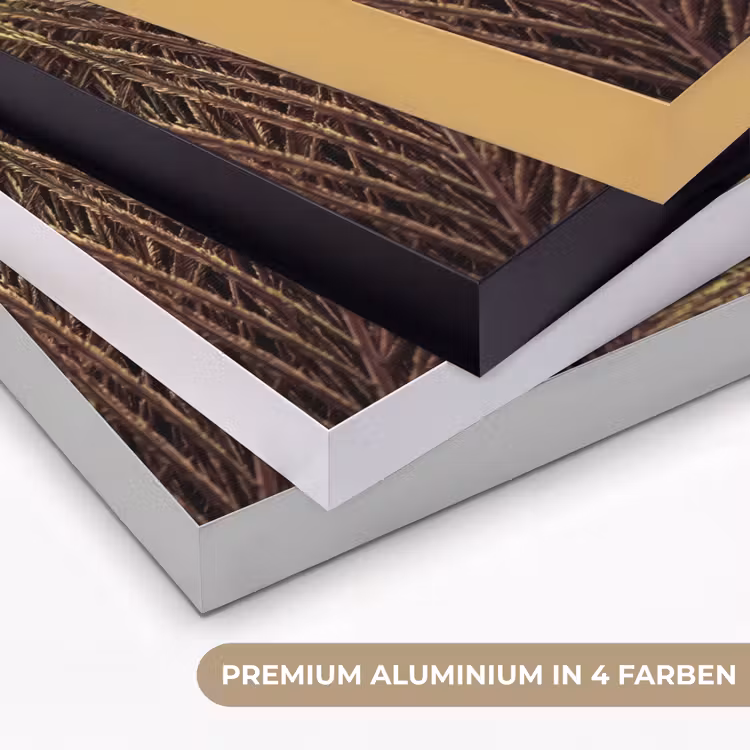 Pauw - Veren - Paars - Groen Textielframe zwart klein -USP_kleurenDE