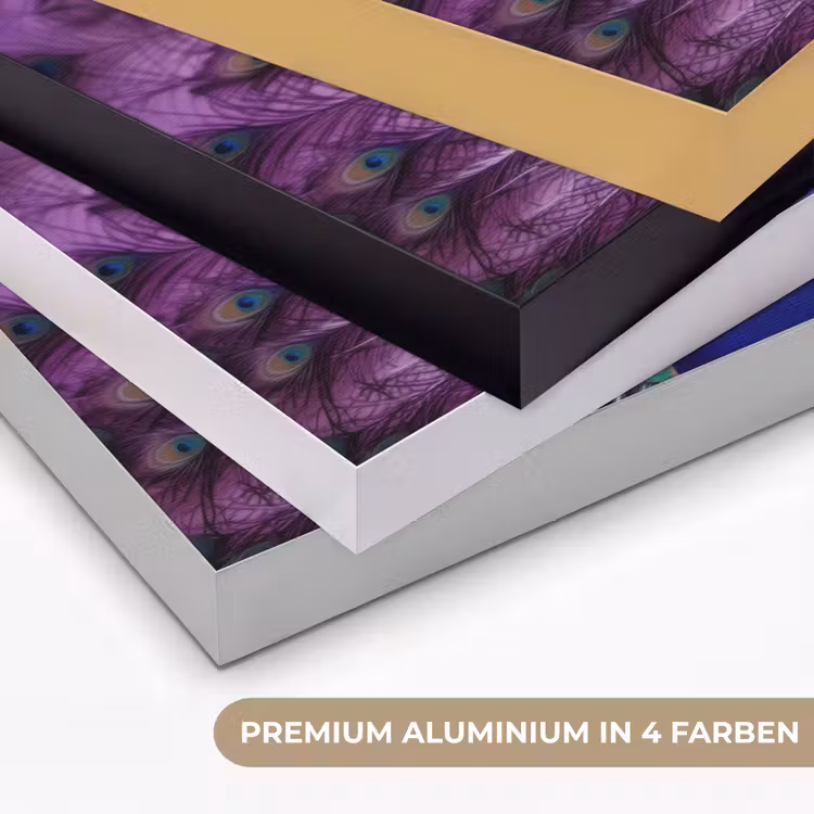 Pauw - Koksmuts - Cool - Paars Textielframe zwart klein -USP_kleurenDE