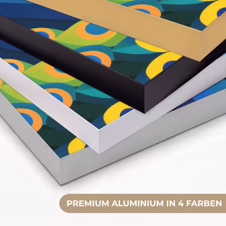 Pauw - Cirkels - Blauw Textielframe zwart klein -USP_kleurenDE