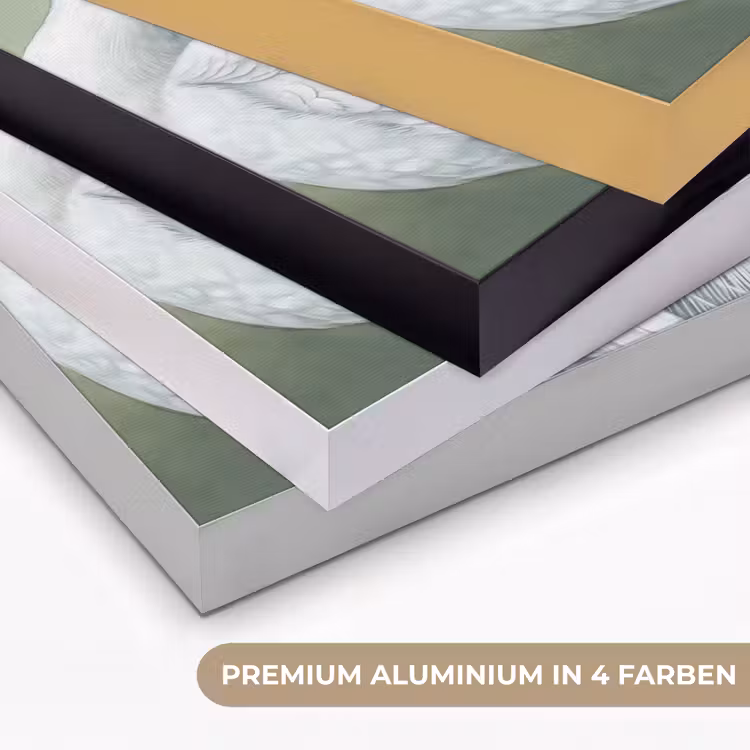 Pauwen - Wit - Natuur - Groen Textielframe zwart klein -USP_kleurenDE