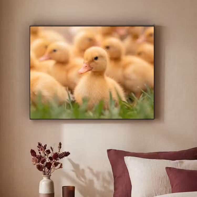 Pijltje - Eend - Natuur - Geel Textielframe zwart klein -sfeer1
