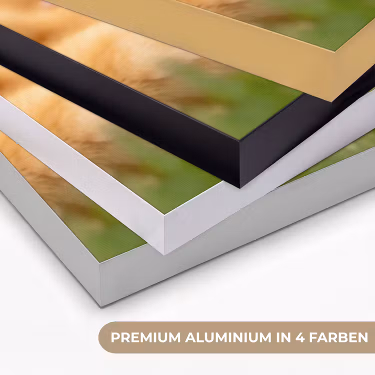 Pijltje - Eend - Natuur - Geel Textielframe zwart klein -USP_kleurenDE
