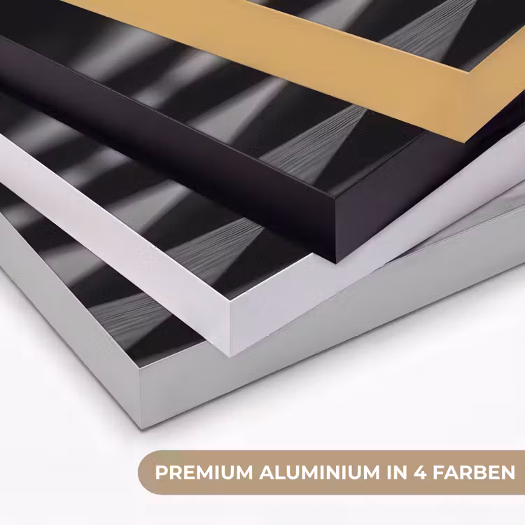 Paard - Hout - Schaalbord - Zwart Textielframe zwart klein -USP_kleurenDE