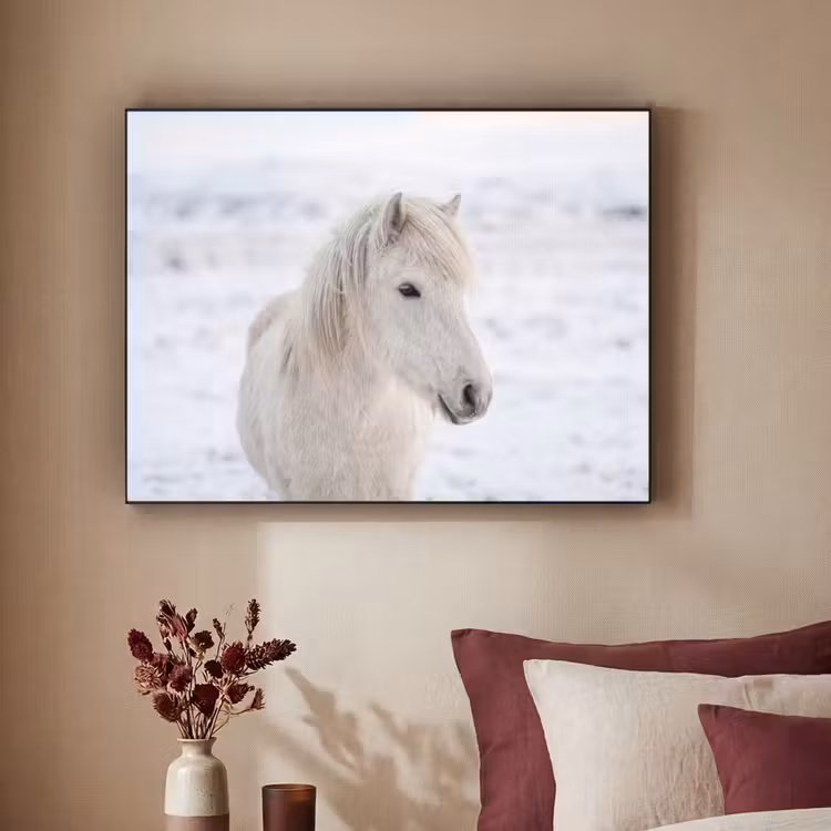 Paard - Kop - Winter - Dieren - Wit Textielframe zwart klein -sfeer1