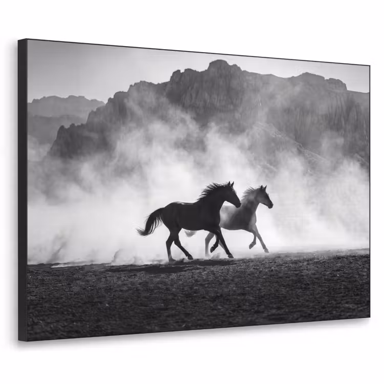 Paard - Ren - Stof - Zwart-wit - Dieren Textielframe zwart klein -3d