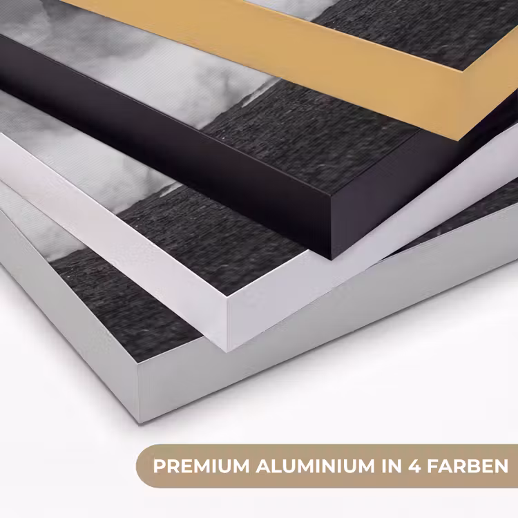 Paard - Ren - Stof - Zwart-wit - Dieren Textielframe zwart klein -USP_kleurenDE