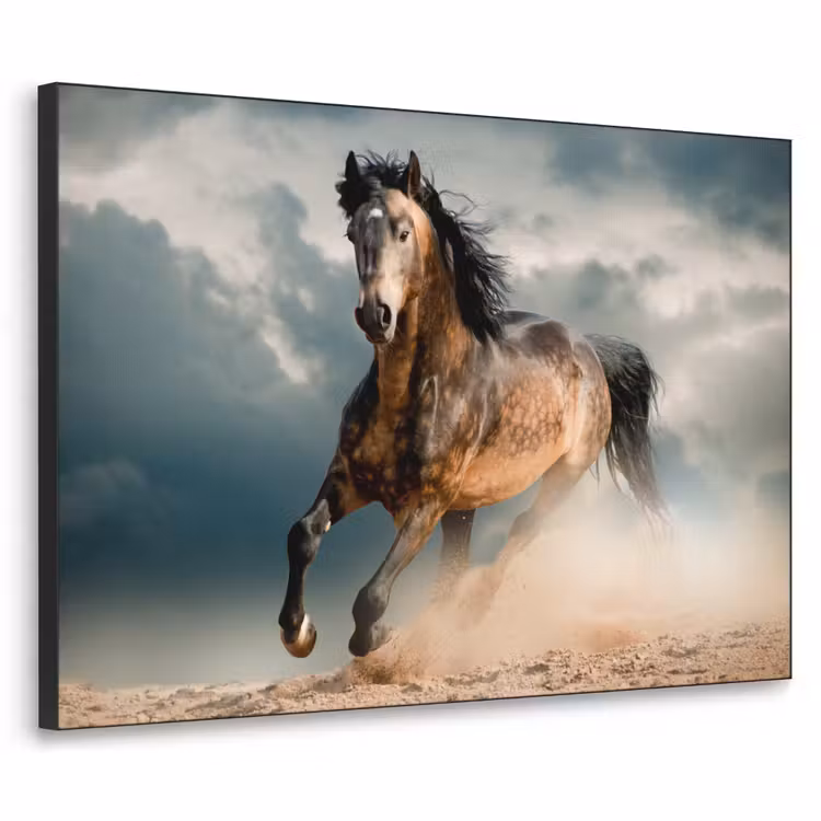 Paard - Dieren - Bruin - Natuur Textielframe zwart klein -3d