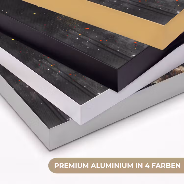 Paard - Dieren - Zwart - Luxe - Modern Textielframe zwart klein -USP_kleurenDE
