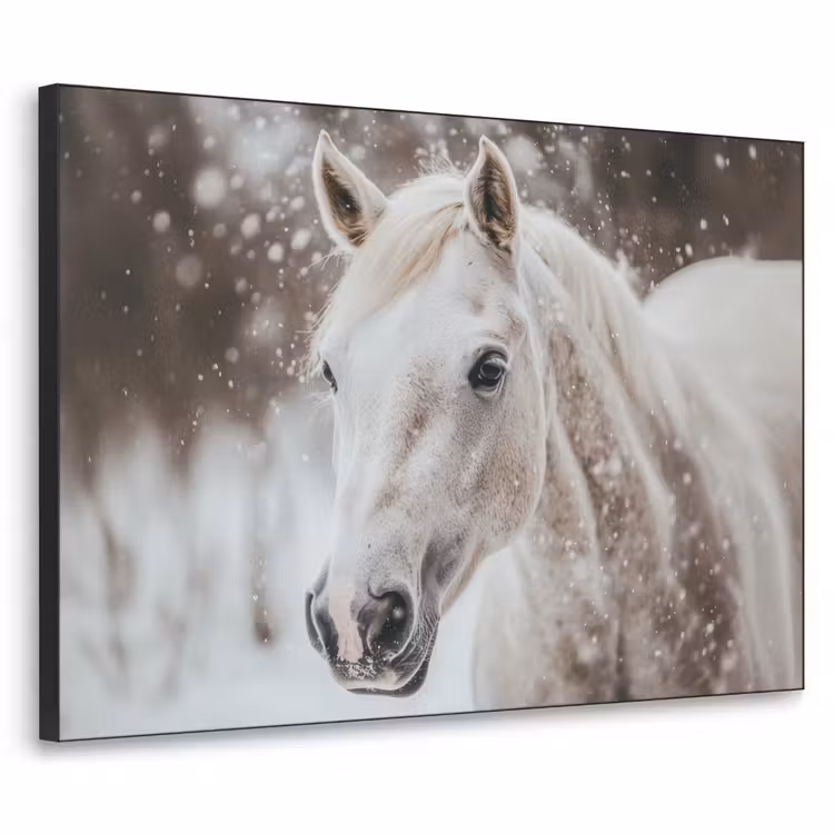 Paard - Wit - Winter - Natuur - Sneeuw - Dieren Textielframe - compleet frame klein -3d