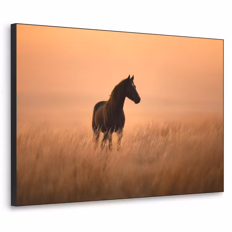 Paard - Grasveld - Zonsondergang Textielframe zwart klein -3d