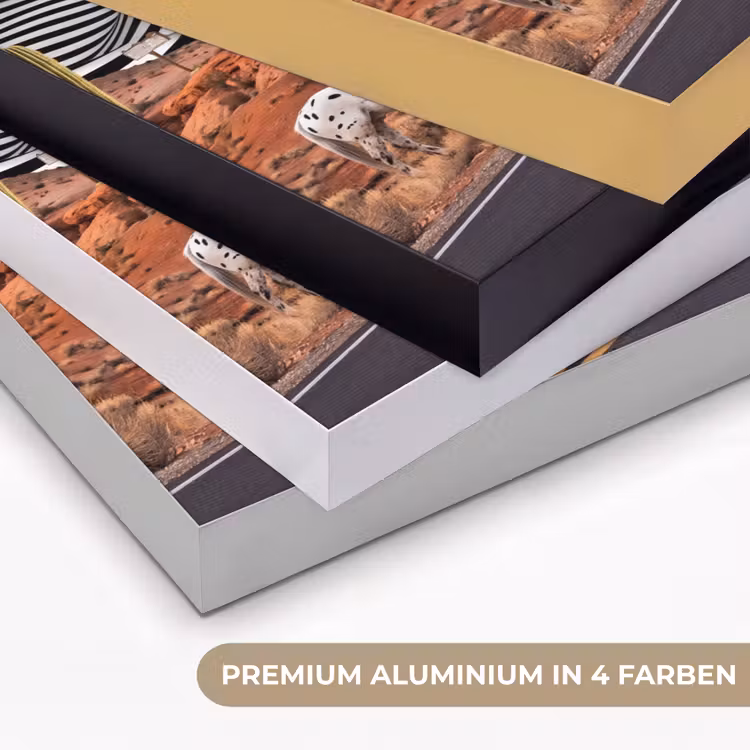 Art Frame - Pferd – Wüste – Natur - Paard - Woestijn - Natuur Textielframe zwart klein