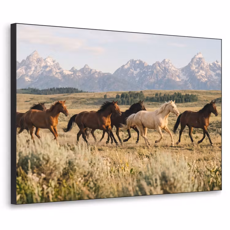 Paarden - Kudde - Bergen - Vrijheid - Wild Textielframe zwart klein -3d