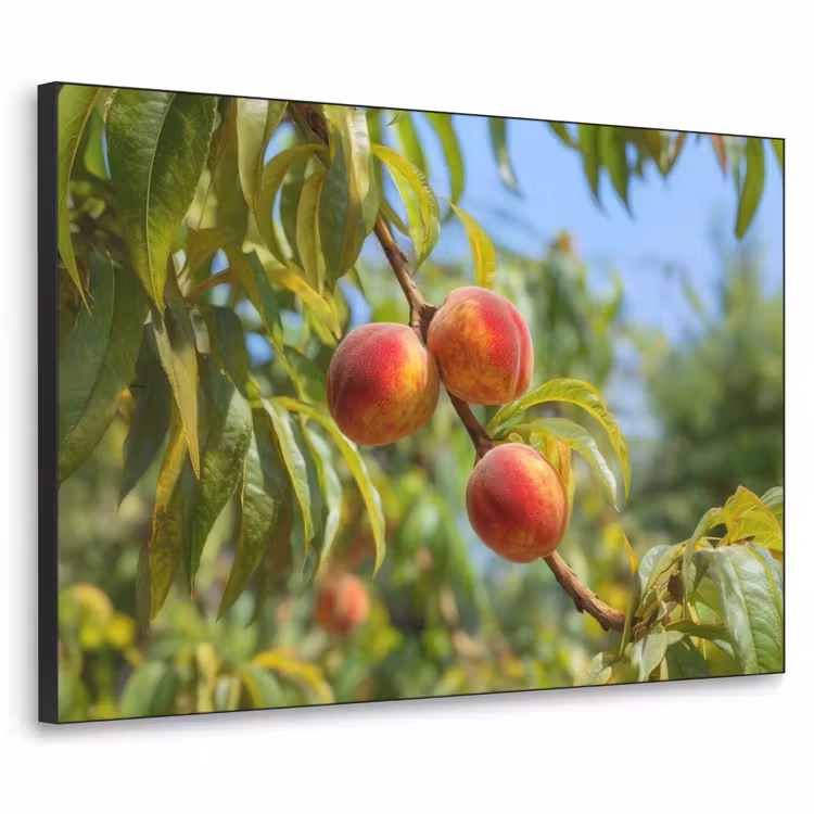 Perzik - Bladeren - Zonlicht Textielframe - compleet frame klein -3d