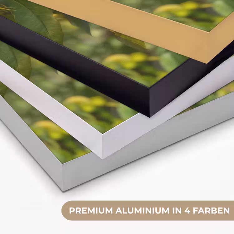 Perzik - Bladeren - Zonlicht Textielframe zwart klein -USP_kleurenDE