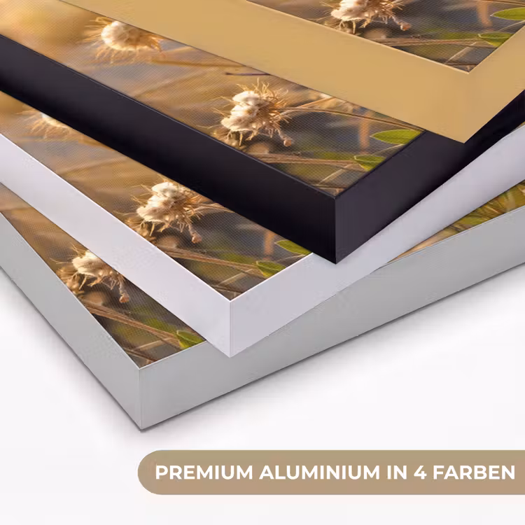 Planten - Natuur - Bloemen - Zon - Horizon Textielframe zwart klein -USP_kleurenDE