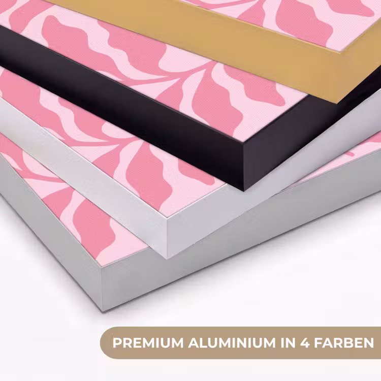 Planten - Organisch - Abstract - Modern - Roze Textielframe zwart klein -USP_kleurenDE