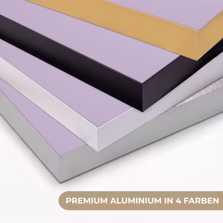 Pinguïn - Koksmuts - Lief - Paars Textielframe zwart klein -USP_kleurenDE