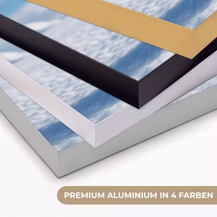 Pinguïn - Sneeuw - Landschap - Wit Textielframe zwart klein -USP_kleurenDE