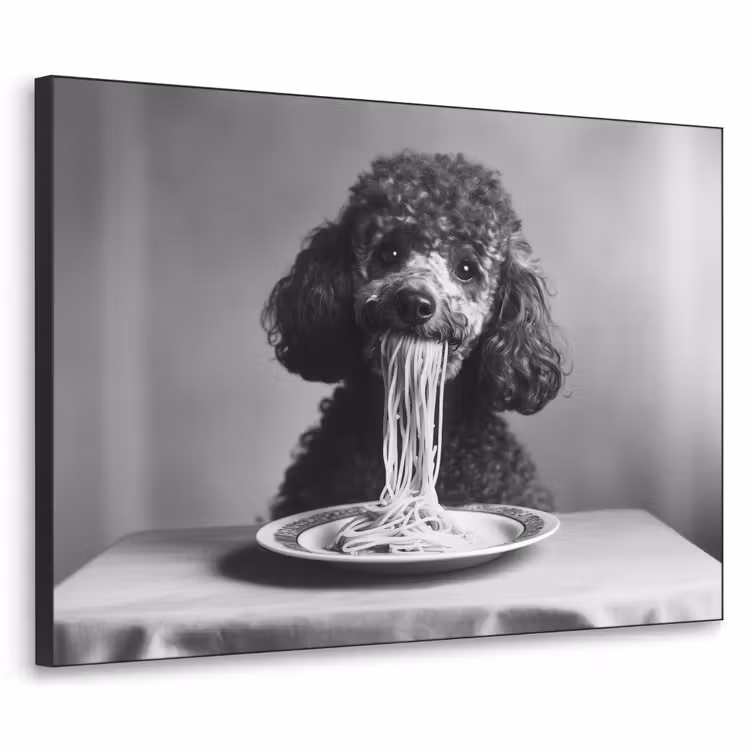 Poedel - Hond - Zwart - Wit - Schattig - Pasta Textielframe - compleet frame klein -3d