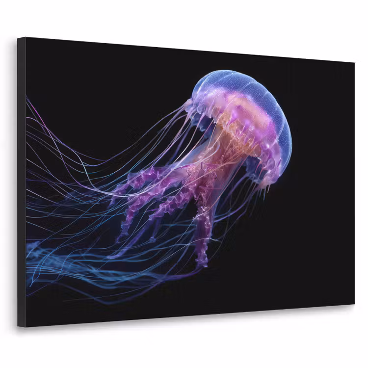 Kwal - Doorzichtig - Roze - Tentakels Textielframe - compleet frame klein -3d