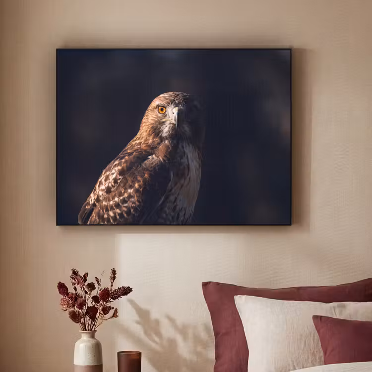 Roofvogel - Buizerd - Bruin Textielframe zwart klein -sfeer1