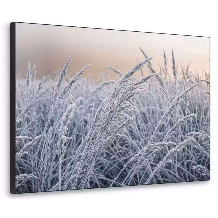 Rijp - Gras - Kristallen - Winter - Minimalistisch Textielframe zwart klein -3d