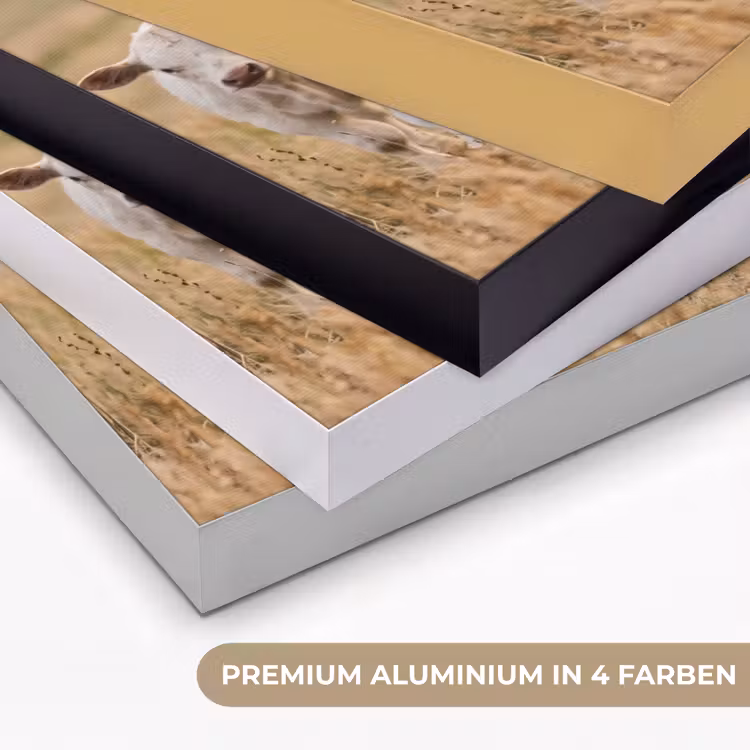 Runderen - Kudde - Landschap - Weide - Rustig Textielframe zwart klein -USP_kleurenDE
