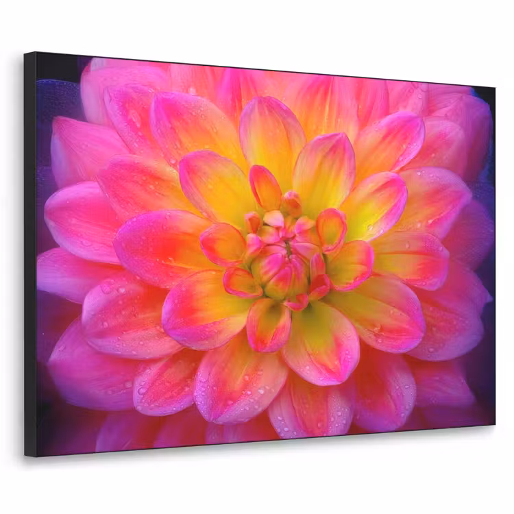Roze - Dahlia - Kleurrijk Textielframe zwart klein -3d