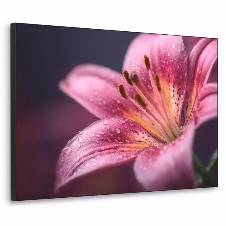 Roze - lelie - Dauwdruppels Textielframe zwart klein -3d