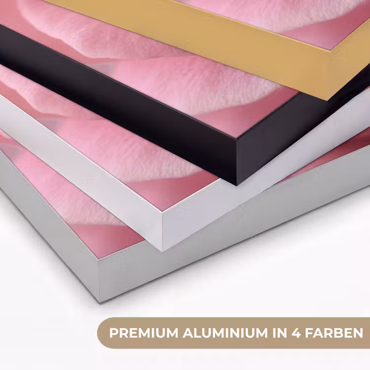 Roze - Roos - Romantisch Textielframe zwart klein -USP_kleurenDE