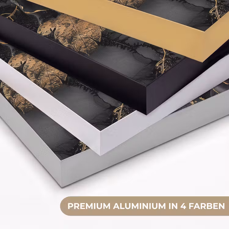 Rozen - Zwart - Bloemen - Goud Textielframe zwart klein -USP_kleurenDE