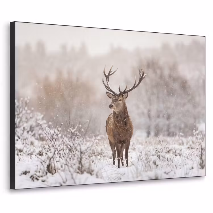 Edelhert - Bos - Sneeuw - Winter - Majestueus Textielframe zwart klein -3d