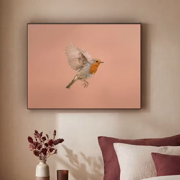 Roodborst - Natuur - Roze Textielframe zwart klein -sfeer1