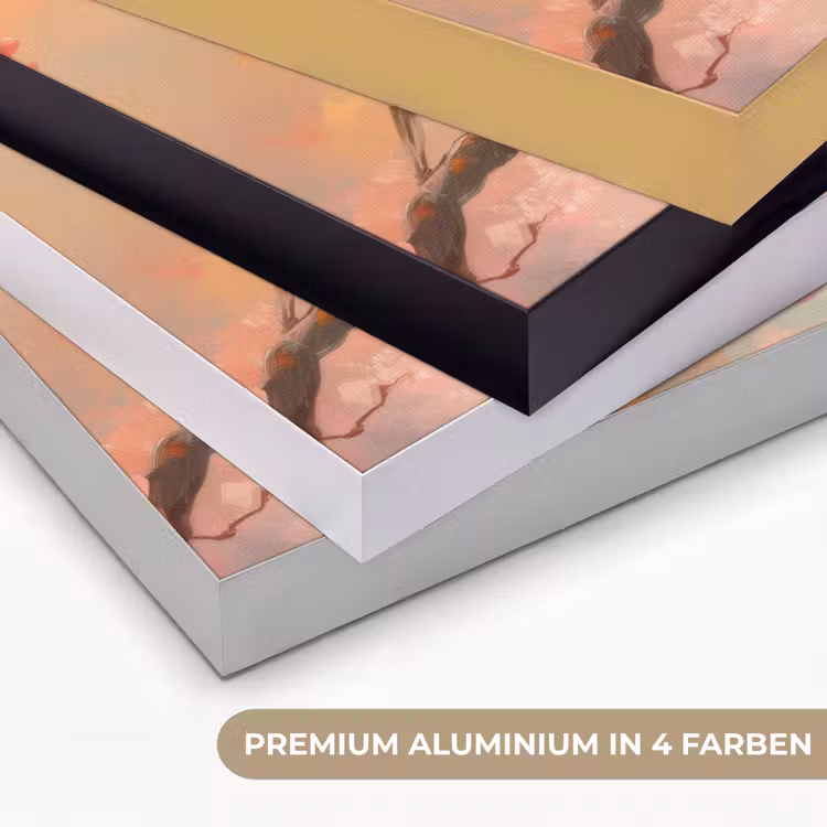 Roodborstjes - Sierlijk - Bloesemtak Textielframe zwart klein -USP_kleurenDE