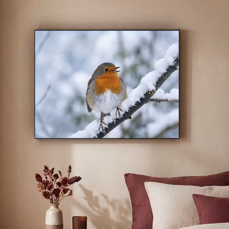 Roodborstje - Tak - Sneeuw - Winter - Levendig Textielframe zwart klein -sfeer1