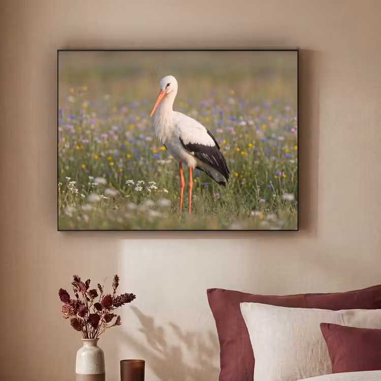 Ooienvaar - Bloemen - Weide - Kleurrijk Textielframe zwart klein -sfeer1