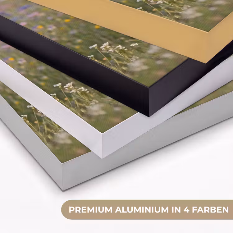 Ooienvaar - Bloemen - Weide - Kleurrijk Textielframe zwart klein -USP_kleurenDE