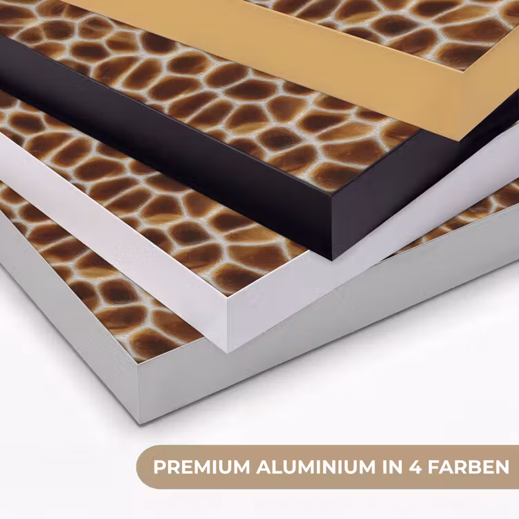 Schildpad - Bruin - Patroon Textielframe zwart klein 947 -USP_kleurenDE