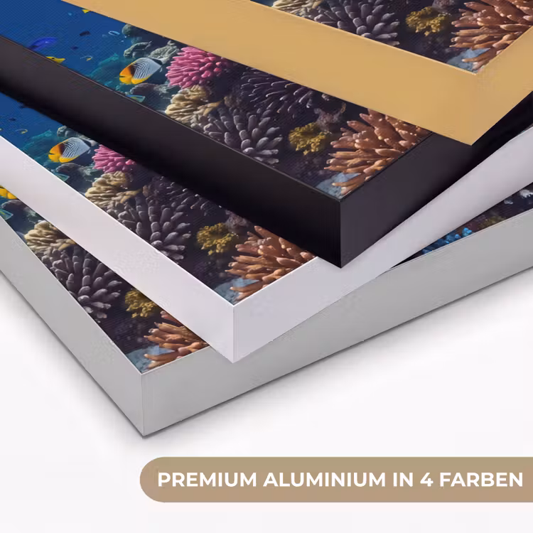 Schildpad - Koraalrif - Oceaan - Dieren - Blauw Textielframe zwart klein -USP_kleurenDE
