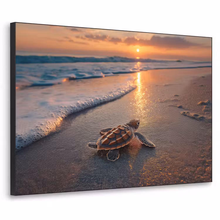 Schildpad - strand - Zonsondergang Textielframe - compleet frame klein -3d