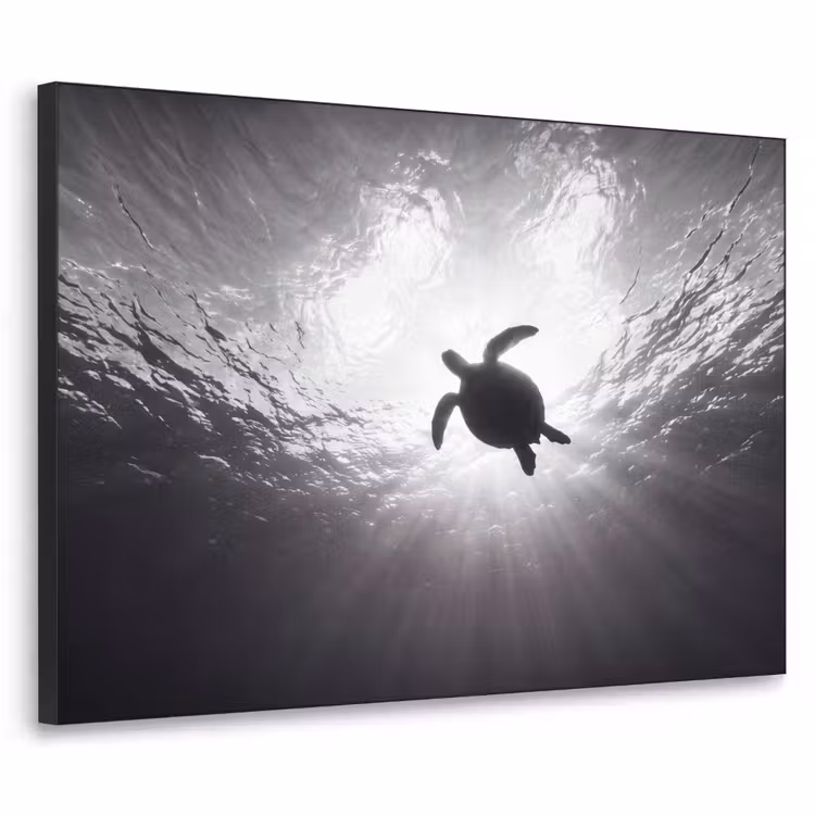 Schildpad - Onderwater - Lichtstralen - Oceaan - Zwart-wit Textielframe zwart klein -3d