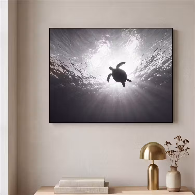 Schildpad - Onderwater - Lichtstralen - Oceaan - Zwart-wit Textielframe zwart klein -sfeer2