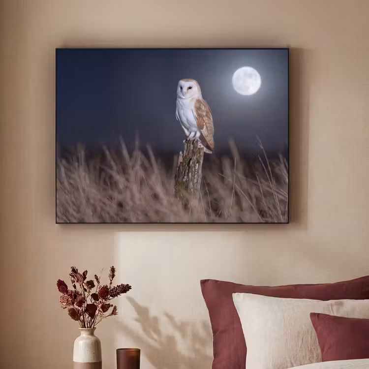 Kerkuil - Maan - Nacht Textielframe zwart klein -sfeer1