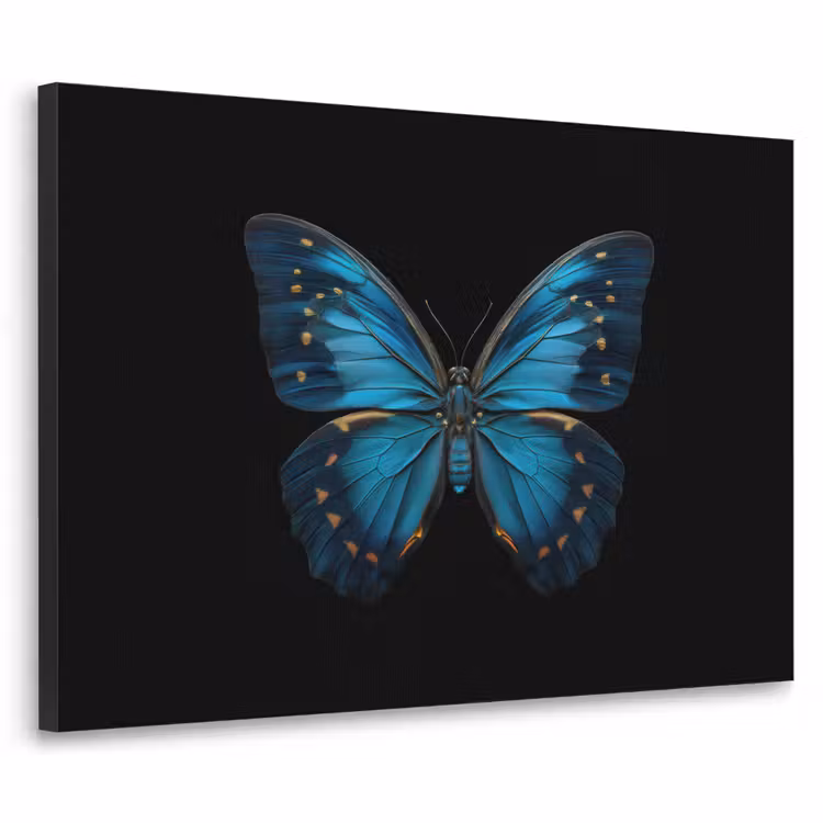 Vlinder - Blauw - Contrast Textielframe zwart klein -3d