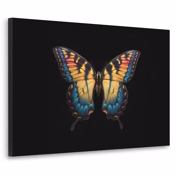 Vlinder - Kleurrijk - Speels Textielframe zwart klein -3d