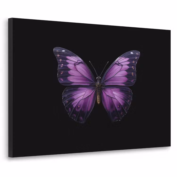 Vlinder - Paars - Levendig Textielframe zwart klein -3d
