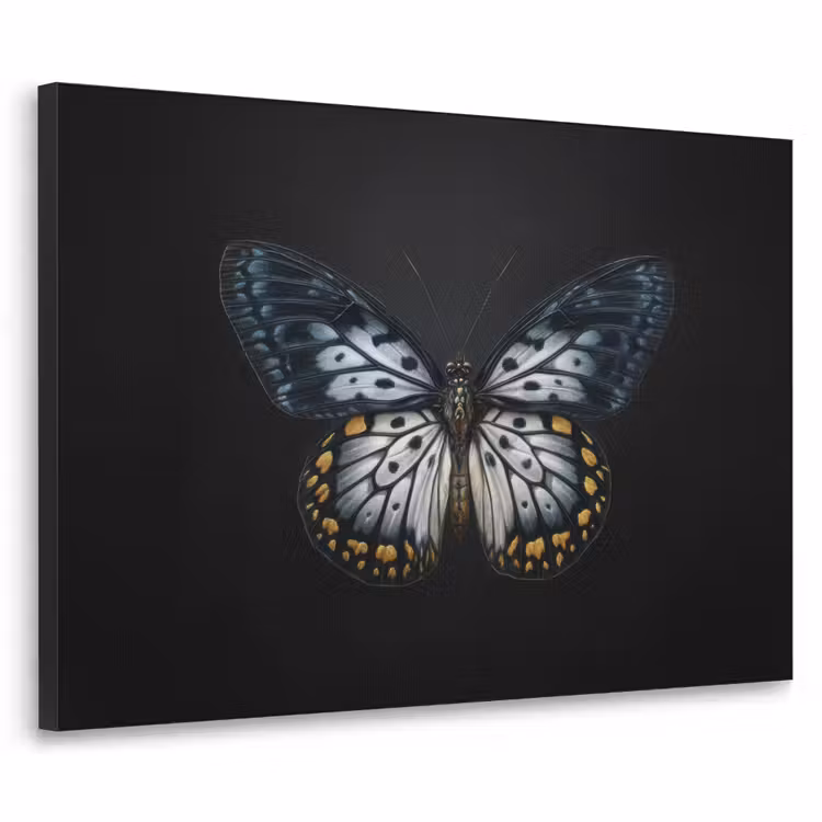 Vlinder - Monochroom - Balans Textielframe zwart klein -3d