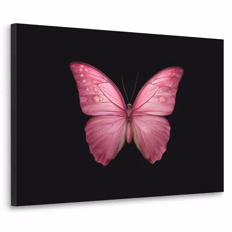 Vlinder - roze - Elegant Textielframe zwart klein -3d