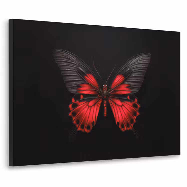Vlinder - Rood - Contrast Textielframe zwart klein -3d