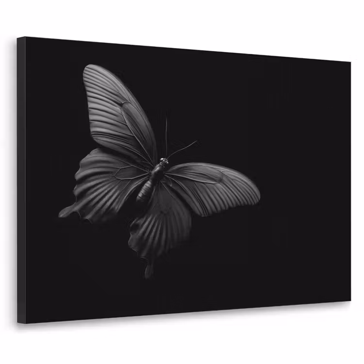 Vlinder - Zwart - Insect - Dieren Textielframe zwart klein -3d